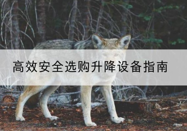 扬州升降货梯厂家推荐-*安全选购升降设备指南