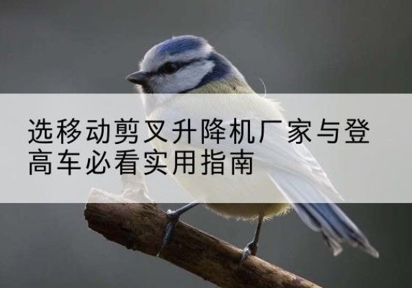 扬州电动升降机厂家-选移动剪叉升降机厂家与登高车必看实用指南