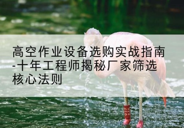 扬州剪叉式升降机厂家-高空作业设备选购实战指南-十年工程师揭秘厂家筛选核心法则